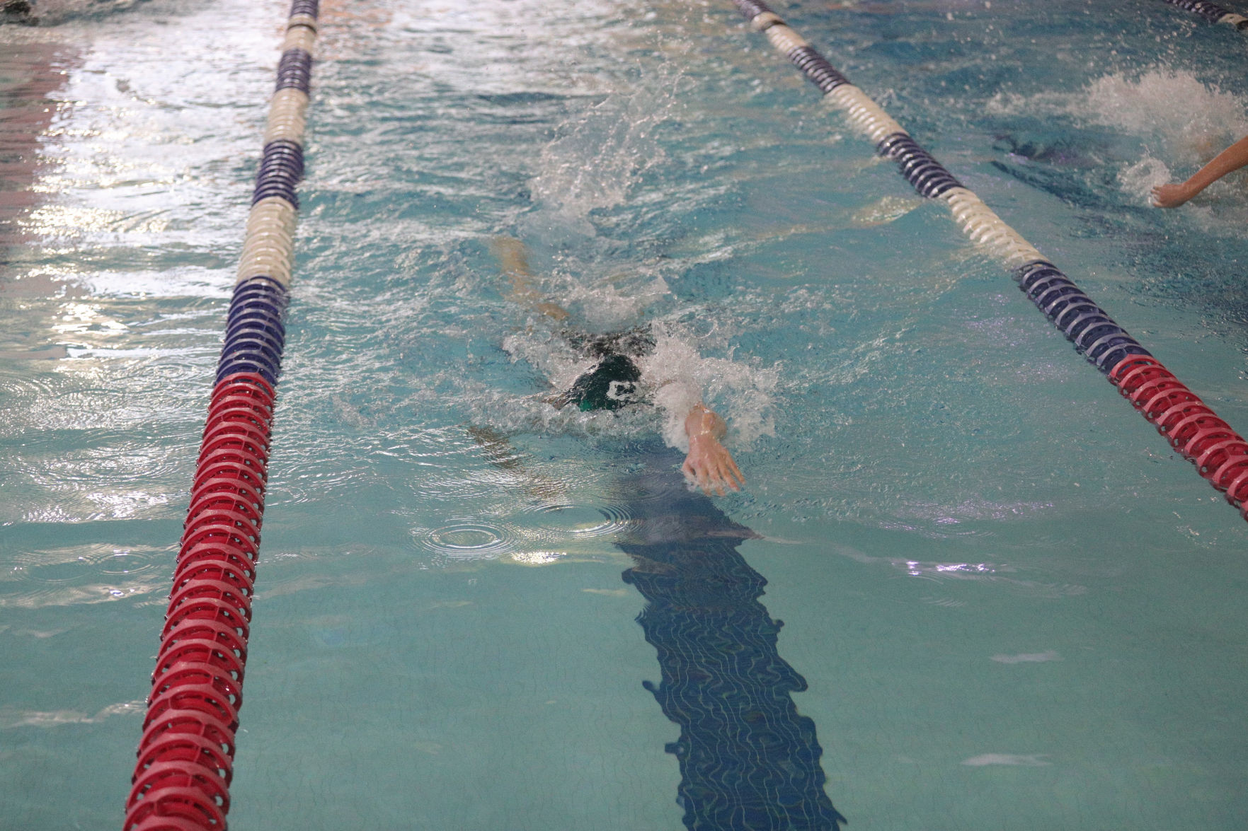 Cal swim meet
